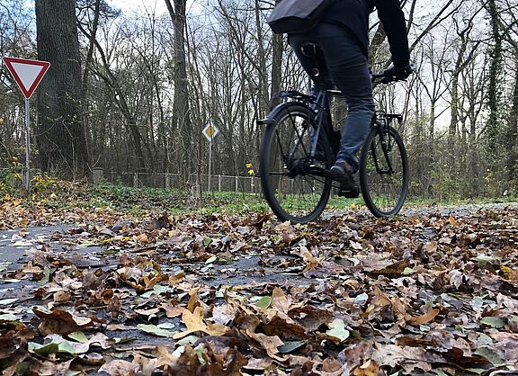 Radfahrer fährt über mit Laub bedeckten Radweg